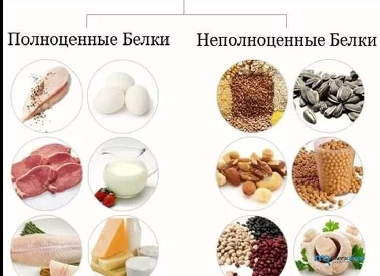 Диета Белки В Каких Продуктах