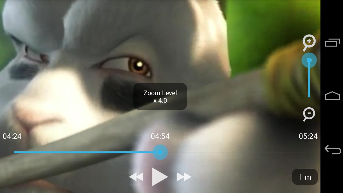 Zoom player как сделать скриншот Zoom player как сделать скриншот