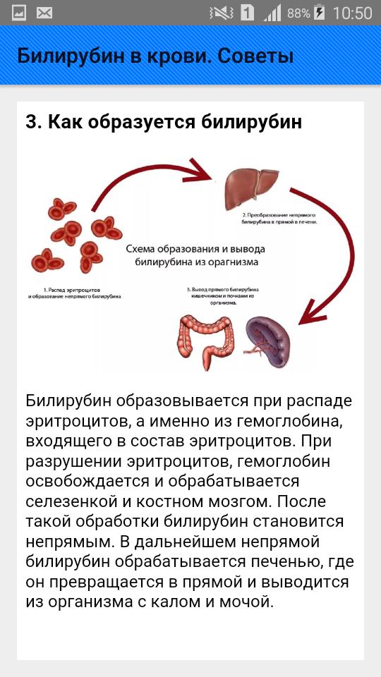 Диета Для Снижения Билирубина