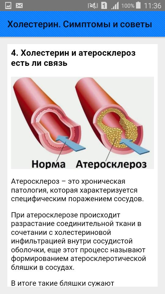 Мешает Ли Повышенный Холестерин Сбросить Вес