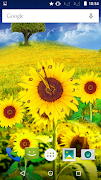 Sunflower Clock ภาพหน้าจอ 5