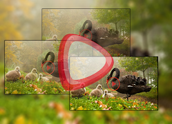 برنامه‌نما Mp4 Player 2019 عکس از صفحه