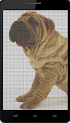 Pet Sandbox Color By Number Draw kitten Pixel Art screenshot 7