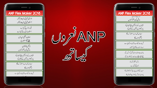 ANP Flex Maker 2018 स्क्रीनशॉट 2