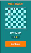 Name the Checkmate Pattern! 스크린샷 1