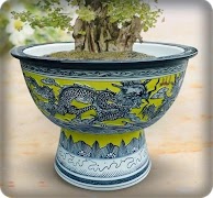 برنامه‌نما Flower Pot Design عکس از صفحه