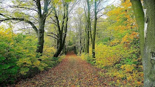 Tile Puzzles · Forests ภาพหน้าจอ 2