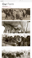 AKSHAR DAIRY ORGANIC FARM poster