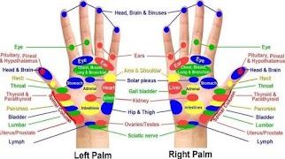 Biểu đồ điểm châm cứu ảnh chụp màn hình 3