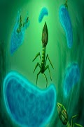 Biology screenshot 1