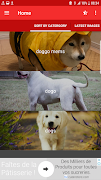 4 Schermata Doggo Memes