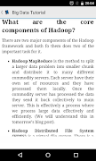 Big Data Tutorial 스크린샷 3