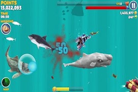 New HUNGRY SHARK EVOLUTION Tips اسکرین شاٹ 3