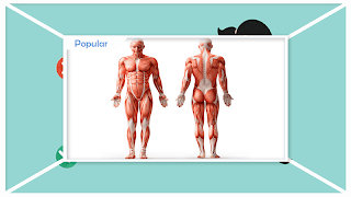 برنامه‌نما Easy Back Posture Exercises عکس از صفحه