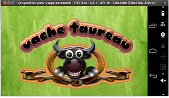Vache Taureau poster