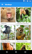 Monkeys App الملصق