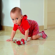 الحلو صار يحبي - طيور بيبي imagem de tela 4