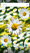 Daisy Flower Clock screenshot 6