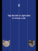 Two Cats স্ক্রিনশট 7