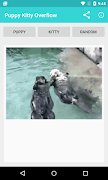 Puppy Kitty Overflow 截图 2