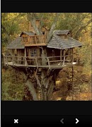 Tree House Design Ideas اسکرین شاٹ 1