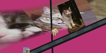 3 Schermata Disguissy Crate