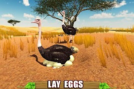 Furious Ostrich Simulator screenshot 2