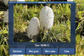 Tile Puzzles · Mushrooms Ekran Görüntüsü 6
