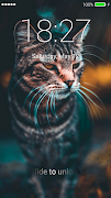 Cat Lock Screen captura de pantalla 2
