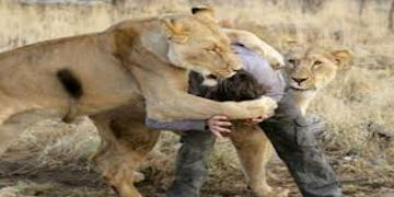 😀😁🇹 🇴 🇵    🇲 🇪 🇲 🇪 🇸😂😎 screenshot 3