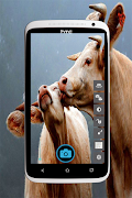 HD Selfie Camera screenshot 1