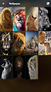 Lion Pattern Lock Screen screenshot 5