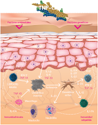 PSoriasis captura de pantalla 3
