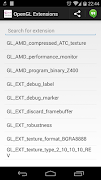 OpenGL Extensions 포스터