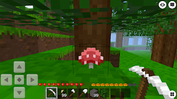 World Exploration and Craft screenshot 6