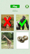 Flashcards Gujarati Lesson screenshot 6