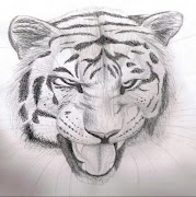 Tutoriais de desenho fáceis imagem de tela 1