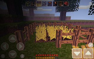 Pixel Craft : Story mod Ekran Görüntüsü 3
