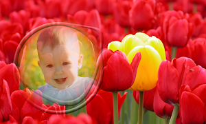 Spring Photo Frames syot layar 4
