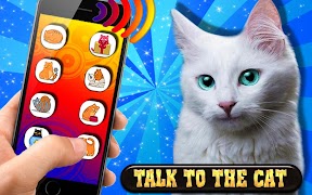 Cat translator - prank app ภาพหน้าจอ 4
