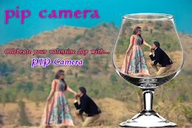 PIP Camera الملصق