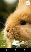 Bunnies Lock Screen 截图 5