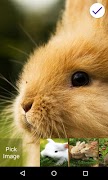 Bunnies Lock Screen imagem de tela 5