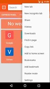 Orange Mini Browser اسکرین شاٹ 3