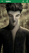 HD Wallpapers captura de pantalla 4