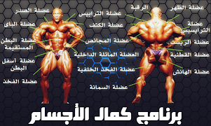 كمال الاجسام بدون نت 포스터