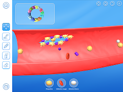 Coaflex imagem de tela 6