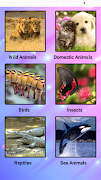 Animal Sounds poster