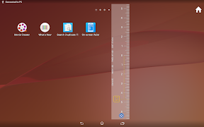 Liniaal op het Scherm screenshot 7