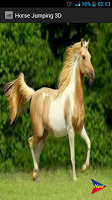 Horse Jumping 3D Screenshot 1